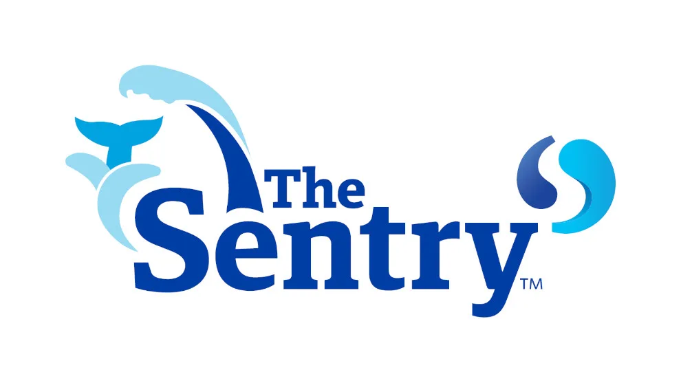 2024 The Sentry format, cut rules and playoff format