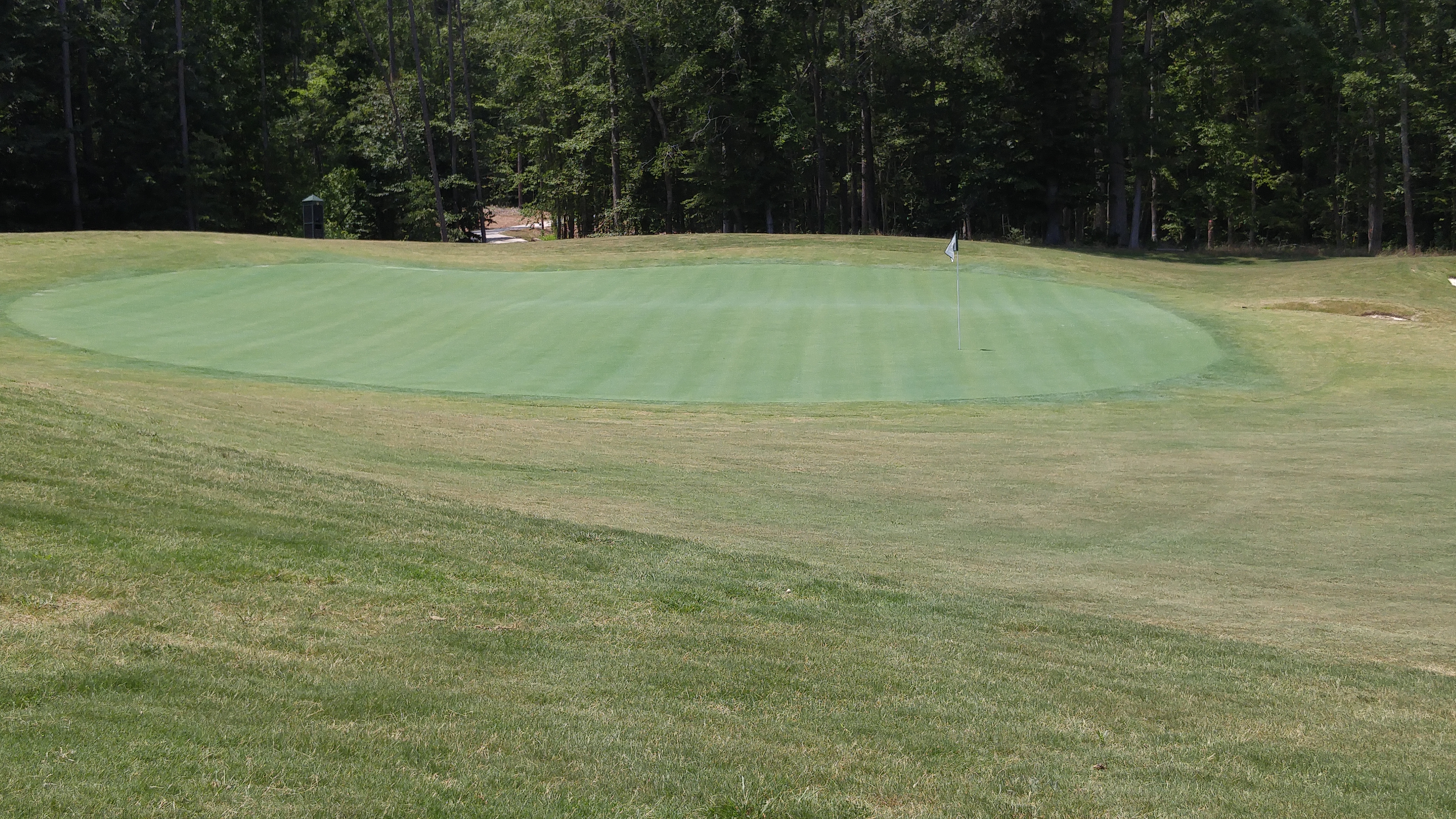 The par-3 3rd at Magnolia Green, with the hidden slope to guide shots to the hole