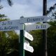 The Masters: Augusta National Golf Club hole names and why they’re named after plants