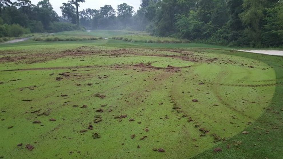 PHOTOS Shell Houston Open host Golf Club of Houston greens vandalized