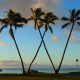 Where is Waialae Country Club and the 2026 Sony Open in Hawaii located?