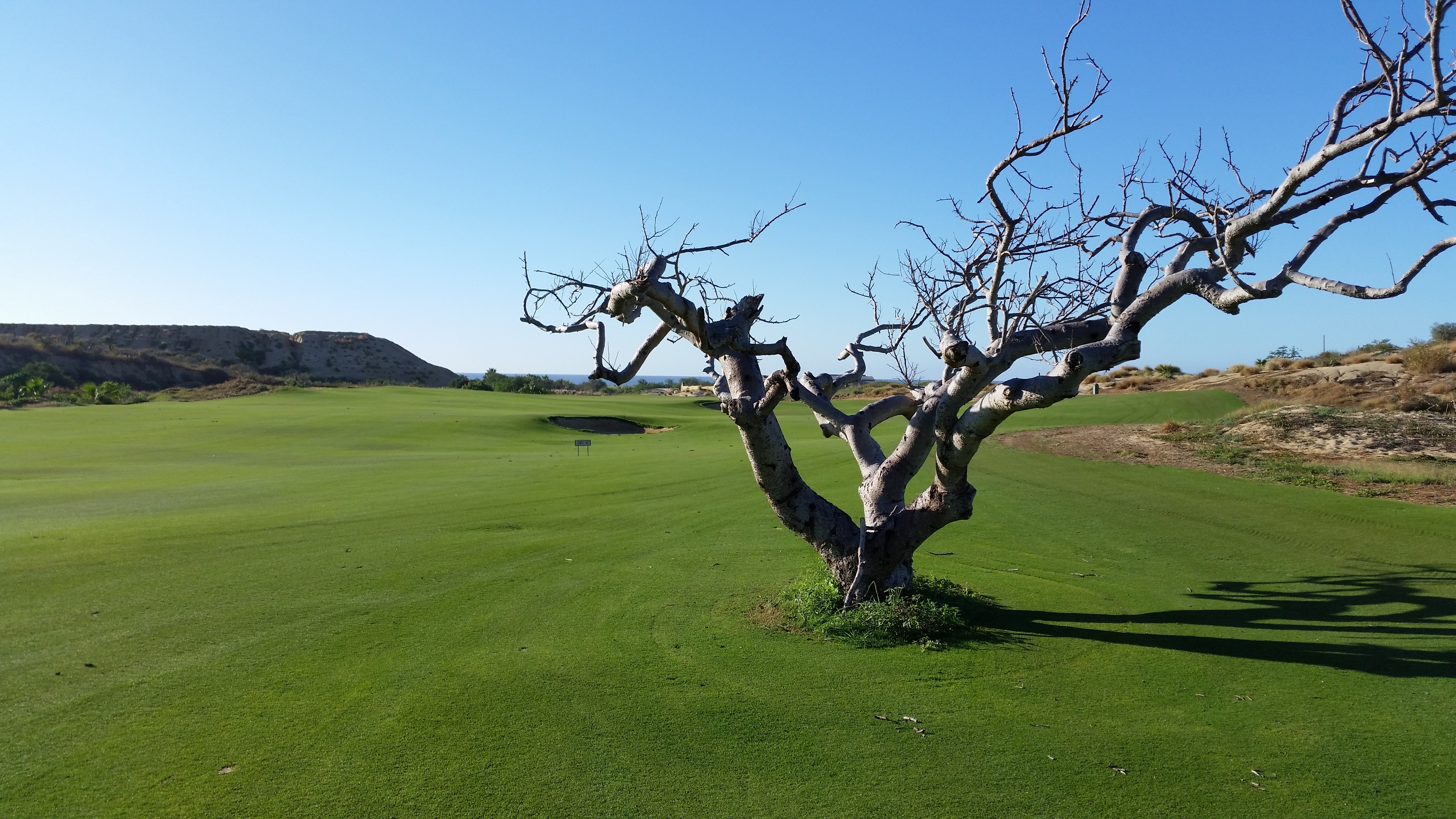 Neverending photo opportunities at Quivira (Photo by Rick Stedman)