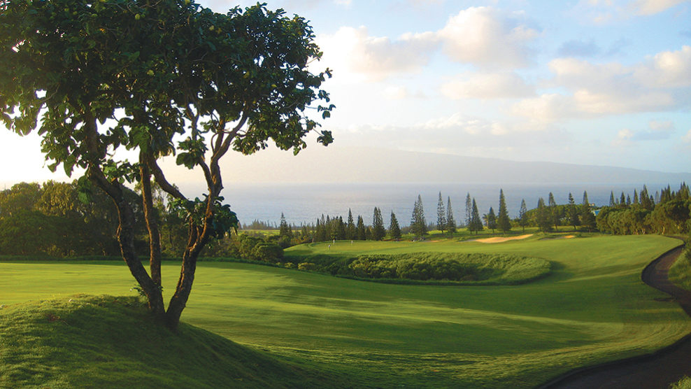 A picture of Kapalua Resort's Plantation Course