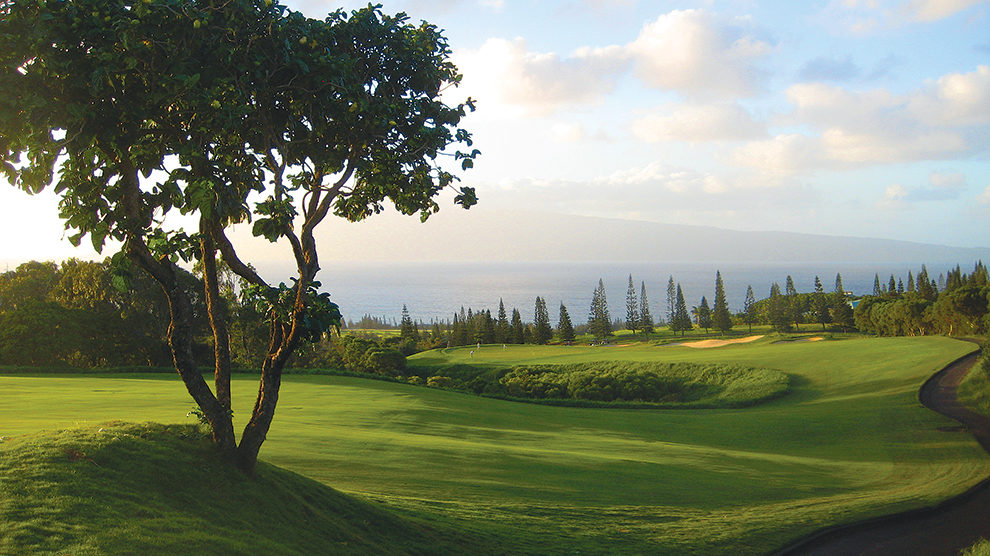 A picture of Kapalua Resort's Plantation Course