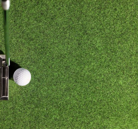 A photo of a putter and golf ball on a putting green